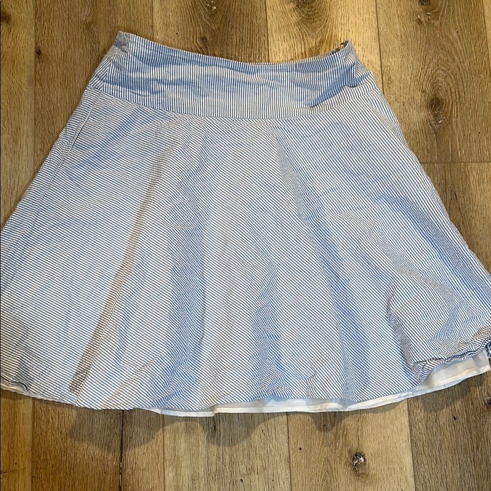 Blue and White Striped Women's Skirt
